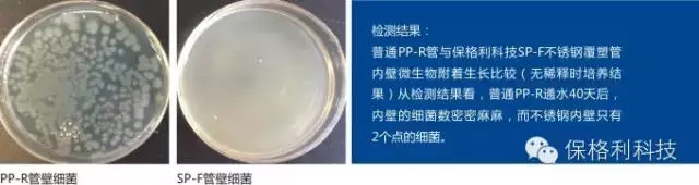 640.webp (10).jpg